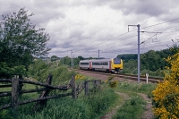 FP4667r